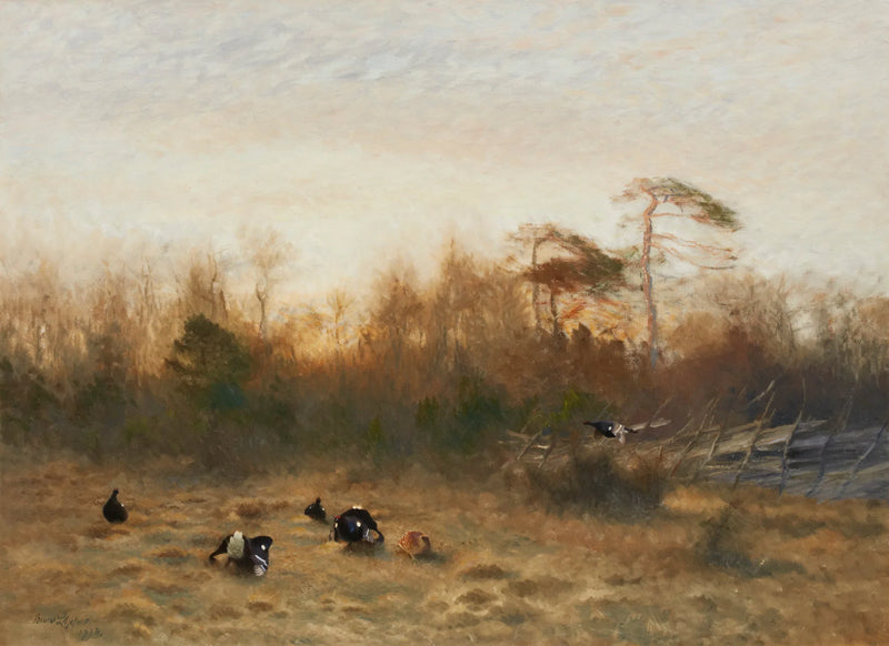 arena del fagiano di monte - Bruno Liljefors