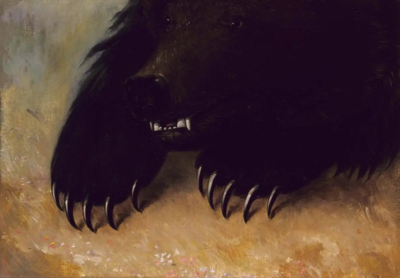 Armi e fisionomia dell'orso grizzly - George Catlin