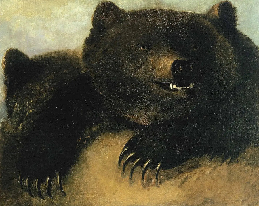 Armi e fisionomia dell'orso grizzly - George Catlin