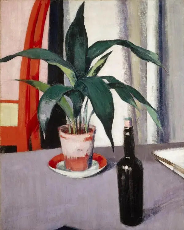 Aspidistra e bottiglia sul tavolo - Francis Cadell