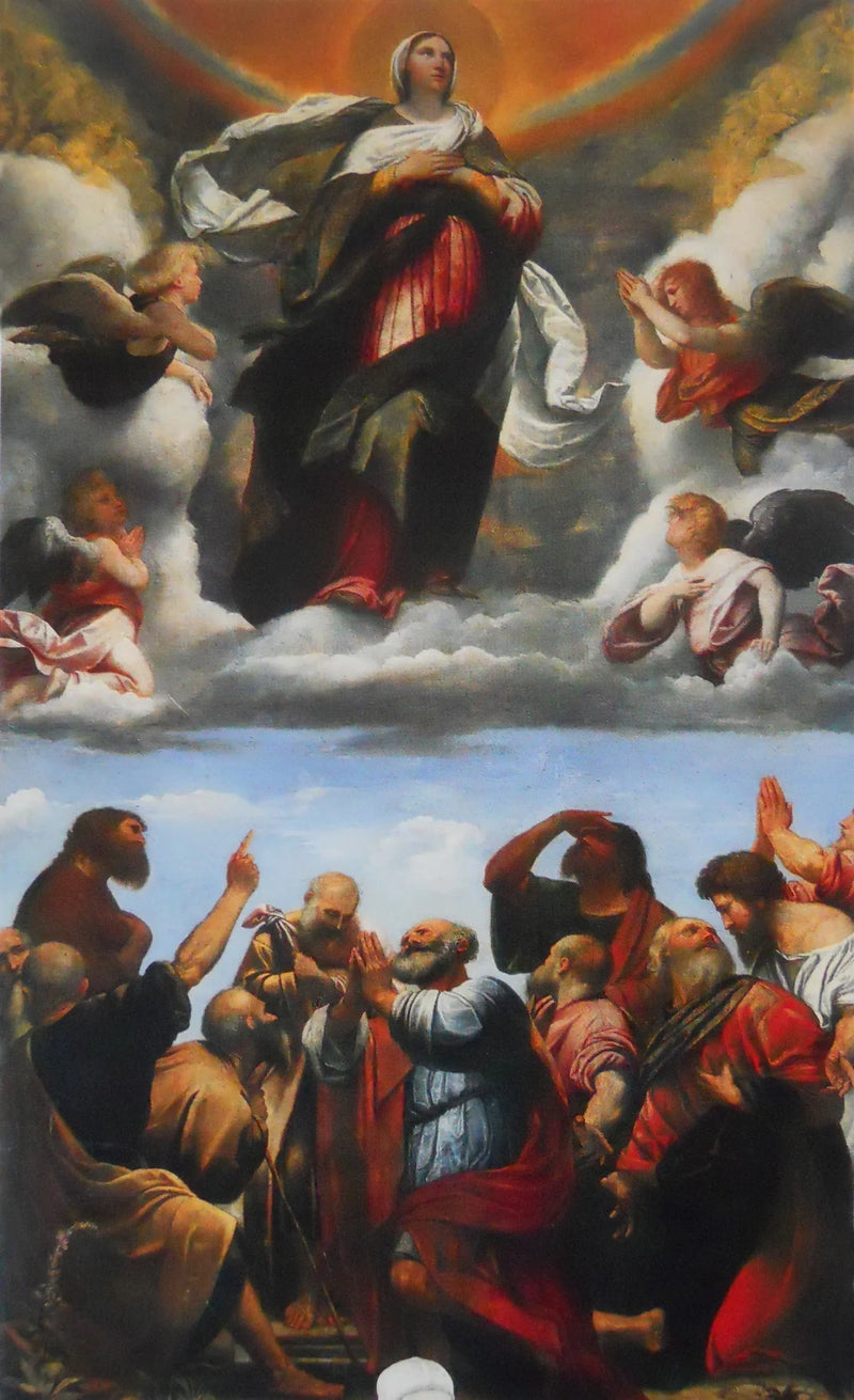 Assomption della Vergine - Alessandro Bonvicino