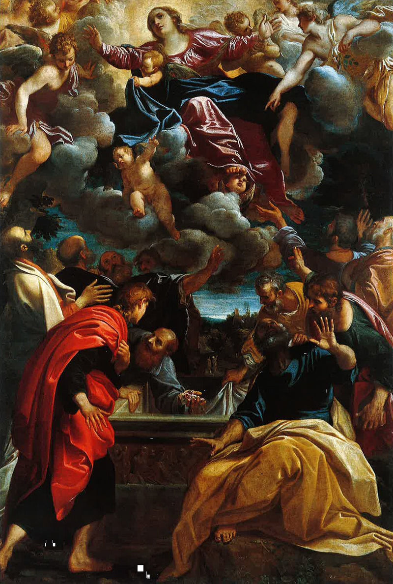 Assunzione della Vergine - Annibale Carracci