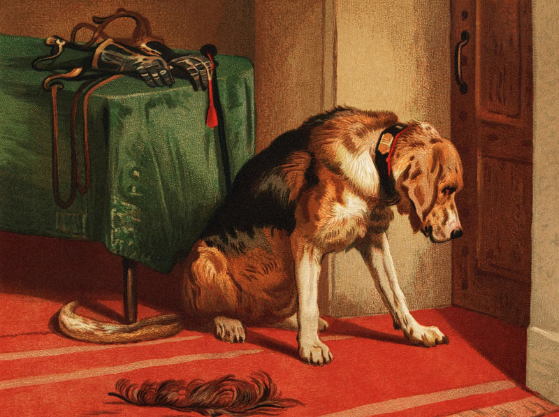 Attesa - Edwin Henry Landseer