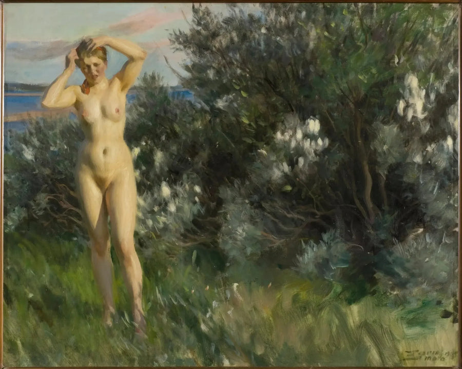 Sul bordo del lago Siljan - Anders Zorn