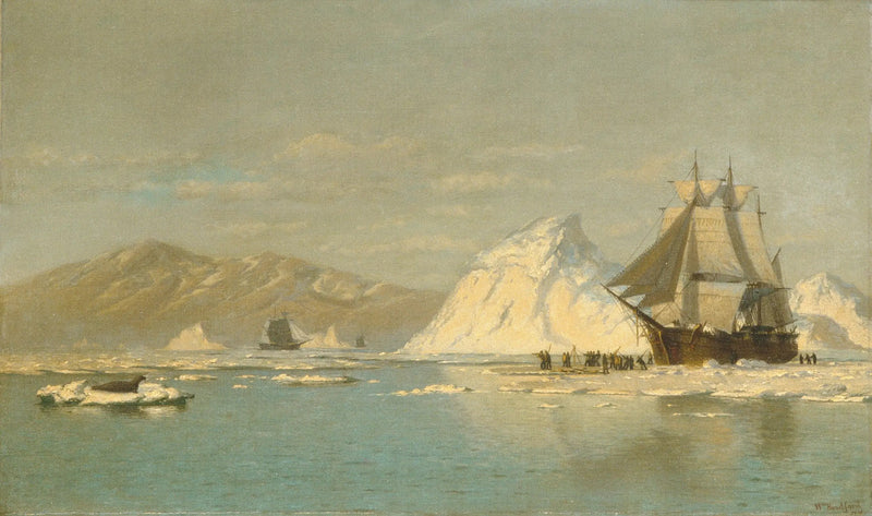 Al largo della Groenlandia — Balena in cerca di acque libere - William Bradford