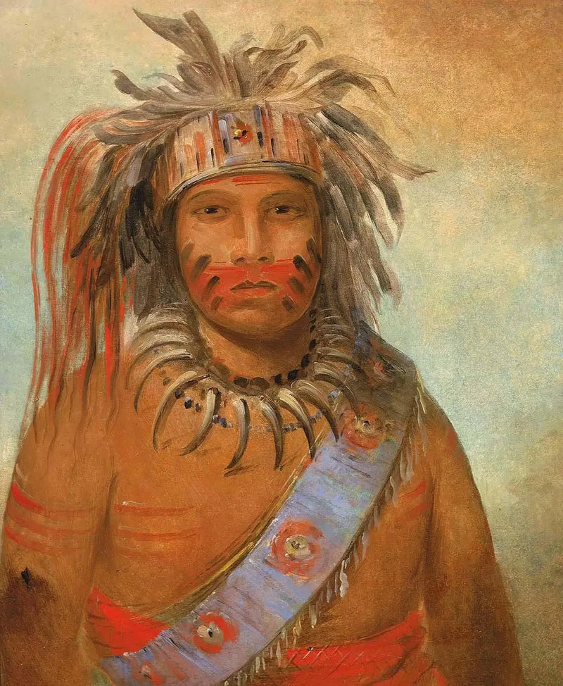 Au-nim-muck-kwa-um, uccello della tempesta - George Catlin