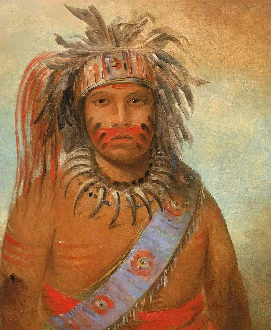 Au-nim-muck-kwa-um, uccello della tempesta - George Catlin