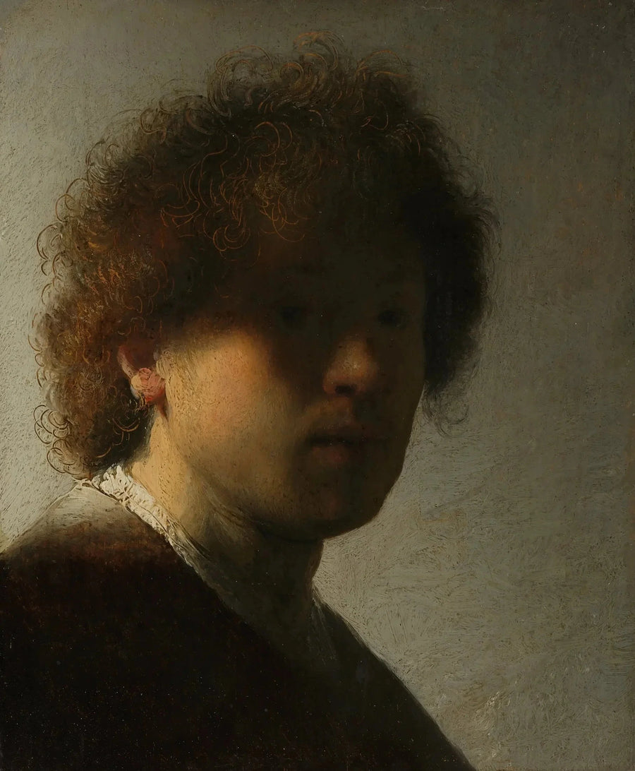 Autoritratto con capelli arruffati - Rembrandt