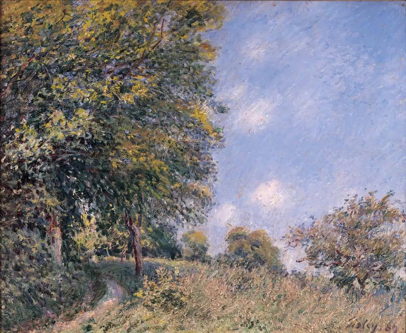 Intorno alla foresta, mattina di luglio - Alfred Sisley
