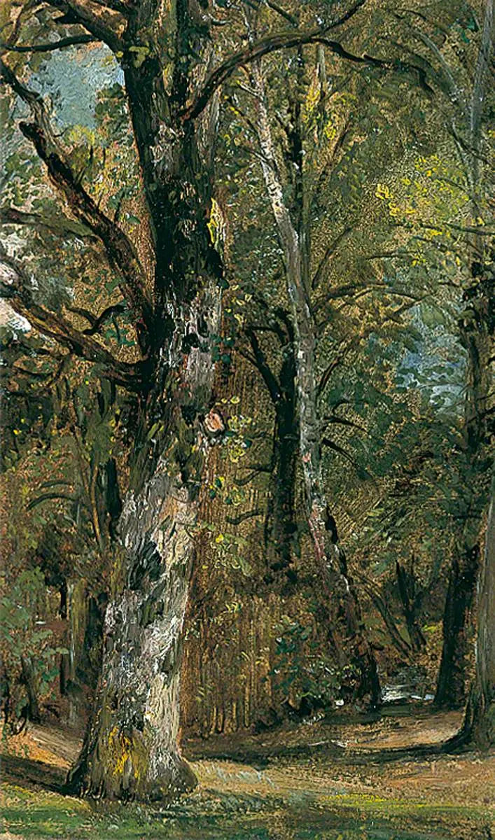 Viale degli Alberi - John Constable