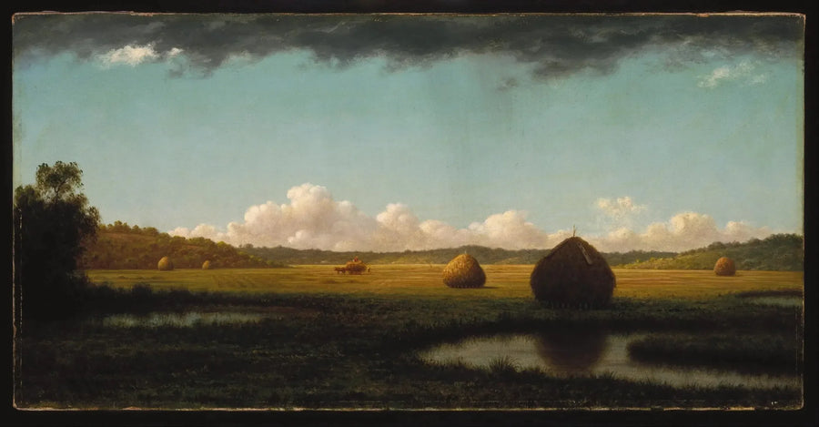 Averses d'estate - Martin Johnson Heade