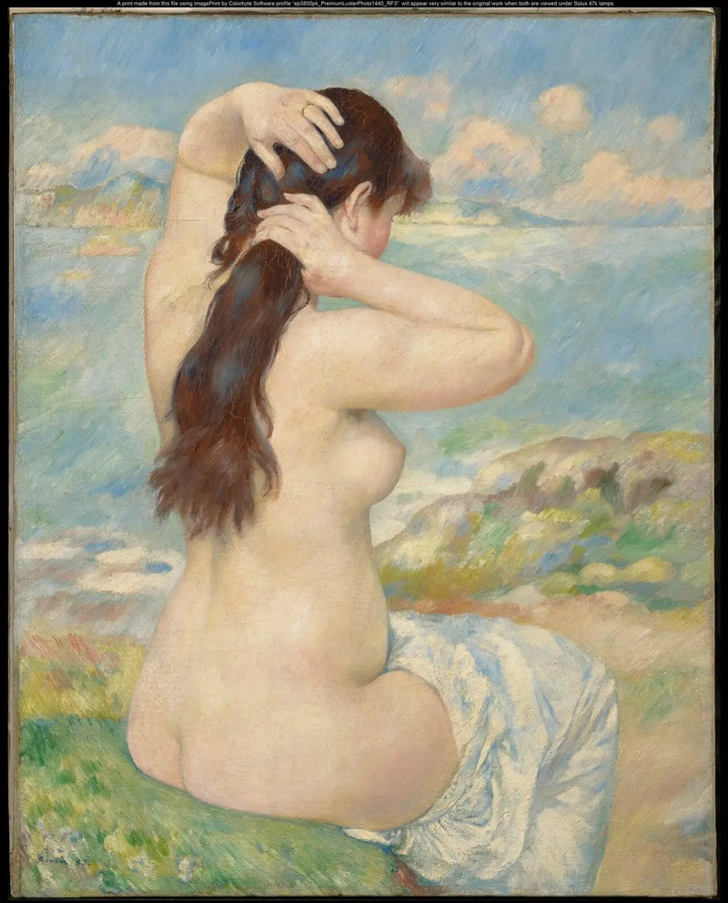 Bagnante che si pettina - Pierre-Auguste Renoir