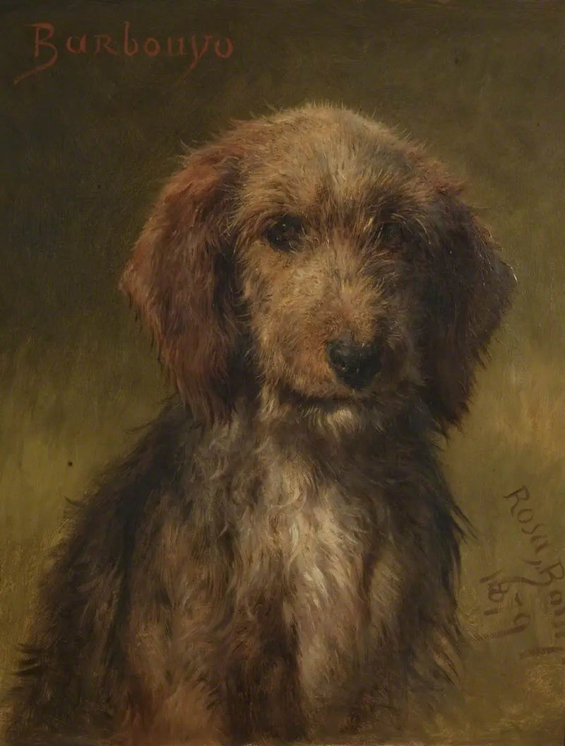 Barbouyo - Rosa Bonheur