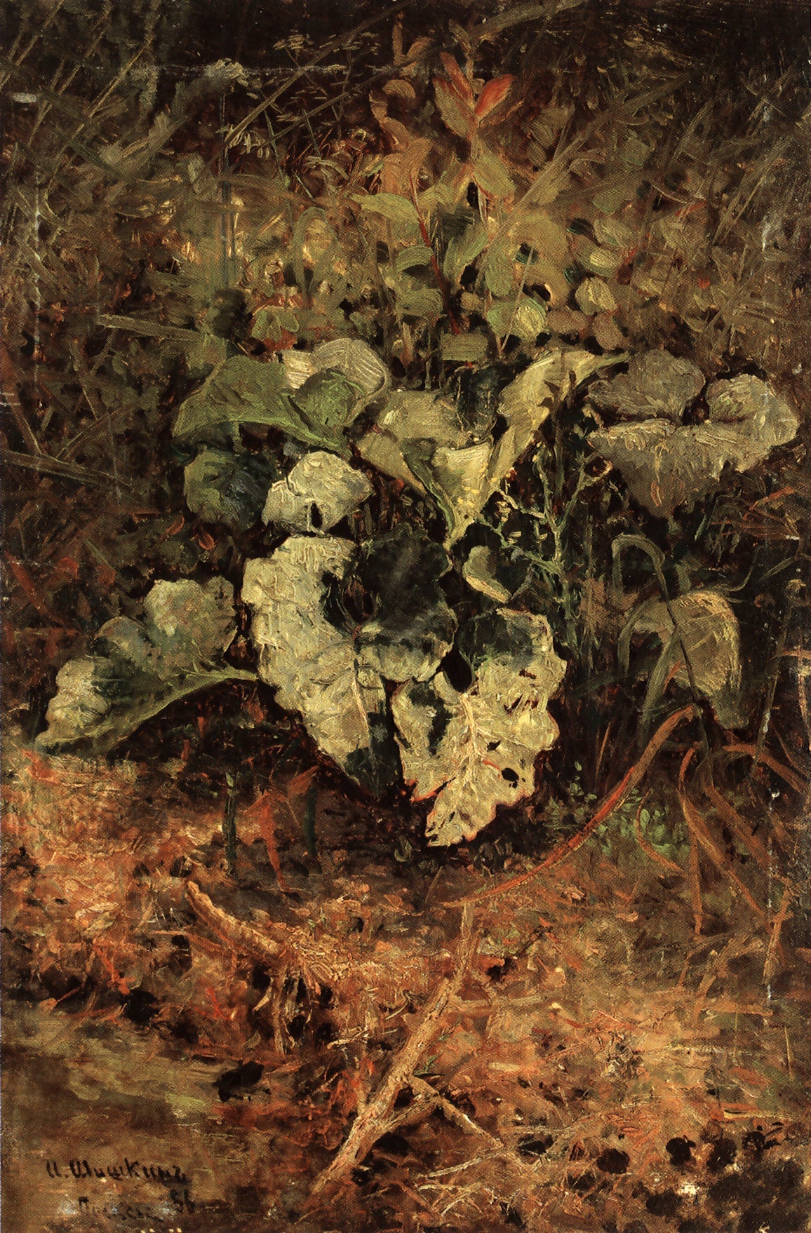 Bardane - Ivan Chichkine - Alpha Reproduction