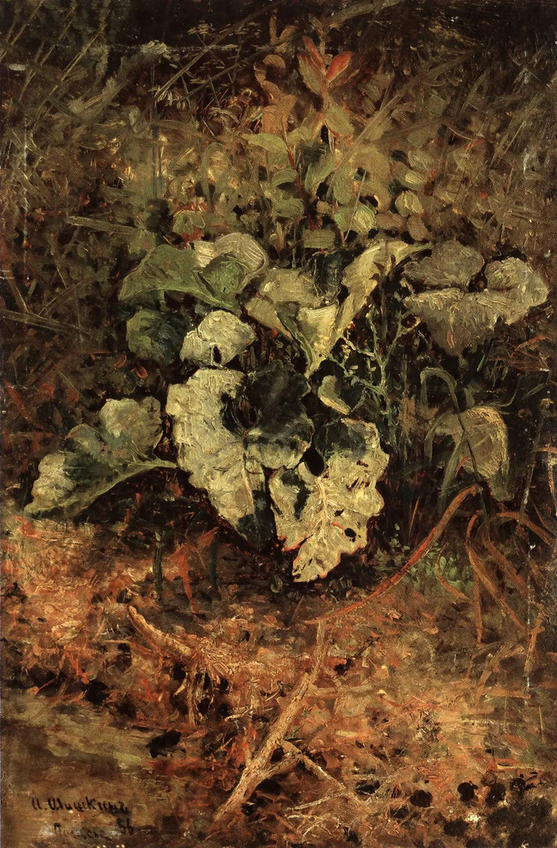 Bardana - Ivan Chichkine