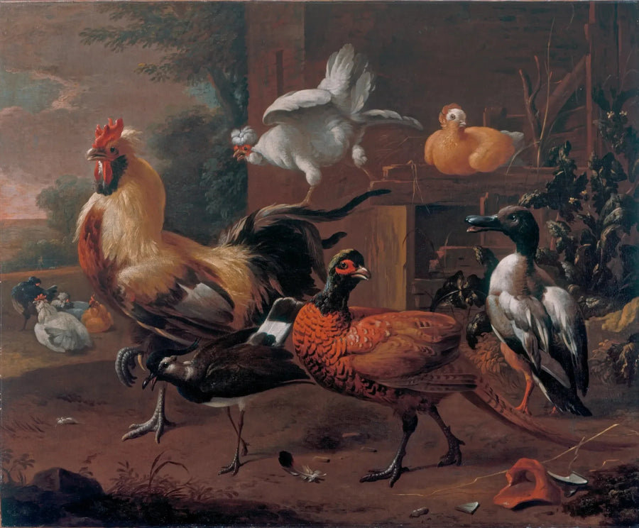 cortile - Melchior de Hondecoeter