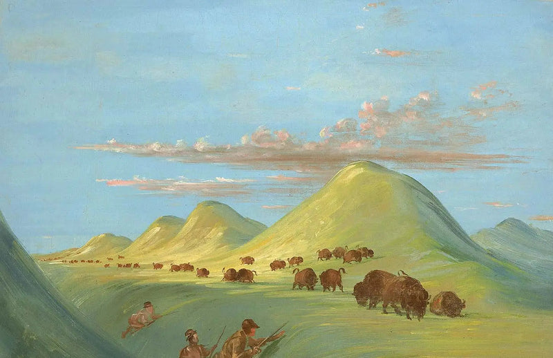 Batiste, Bogard e me avvicinandomi a Buffalo sul Missouri - George Catlin