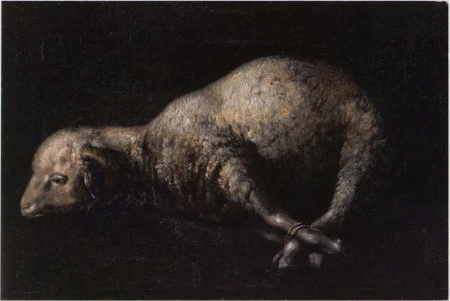 Ariete ai piedi legati - Francisco de Zurbarán