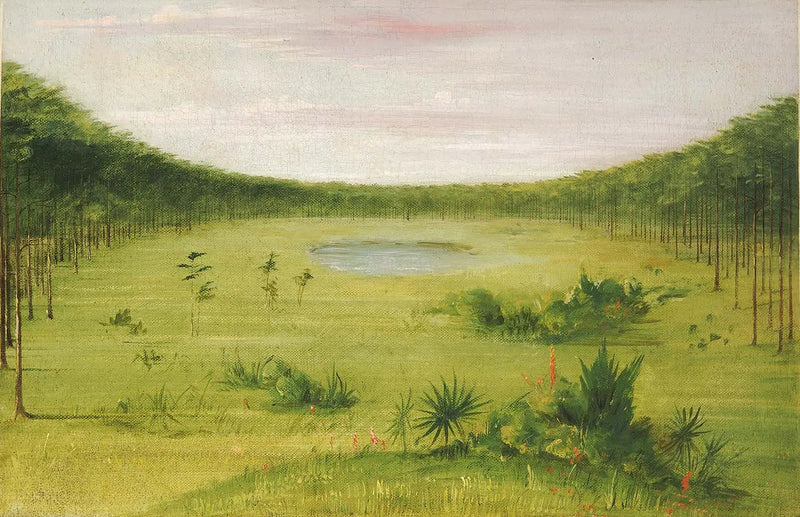 Bella savana nelle pinete della Florida - George Catlin