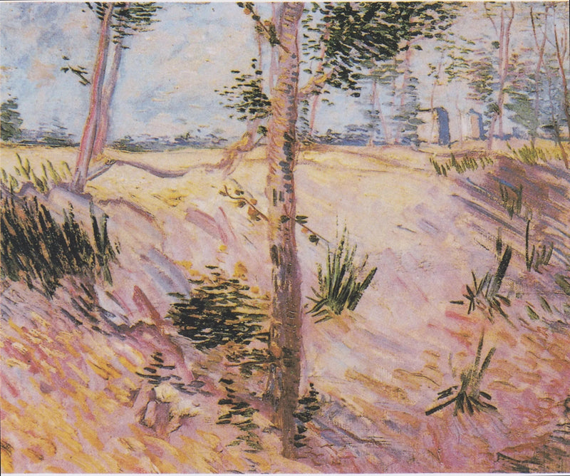 Alberi su un pendio - Vincent van Gogh