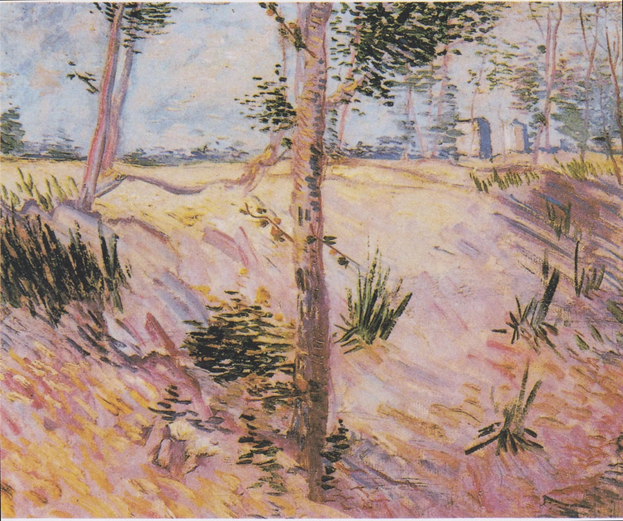 Alberi su un pendio - Vincent van Gogh