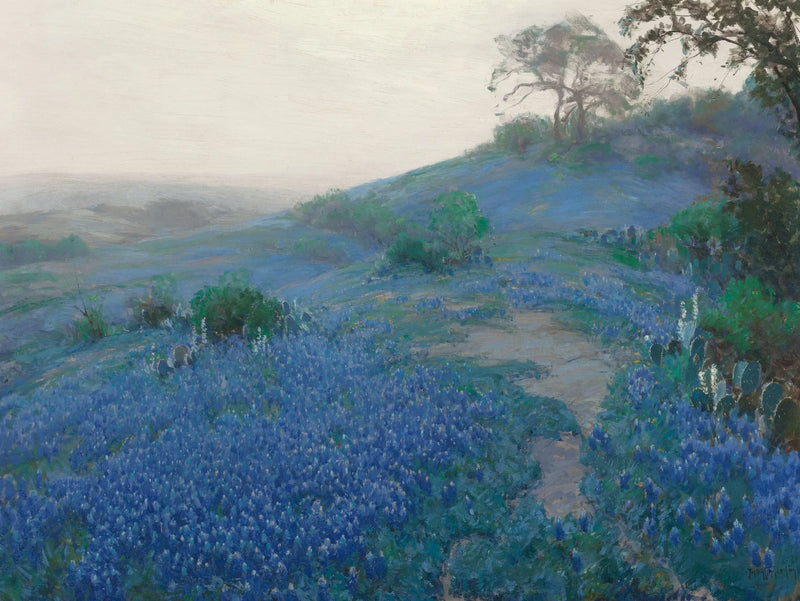 Blue Bonnet Field, mattina presto, San Antonio, Texas - Julian Onderdonk