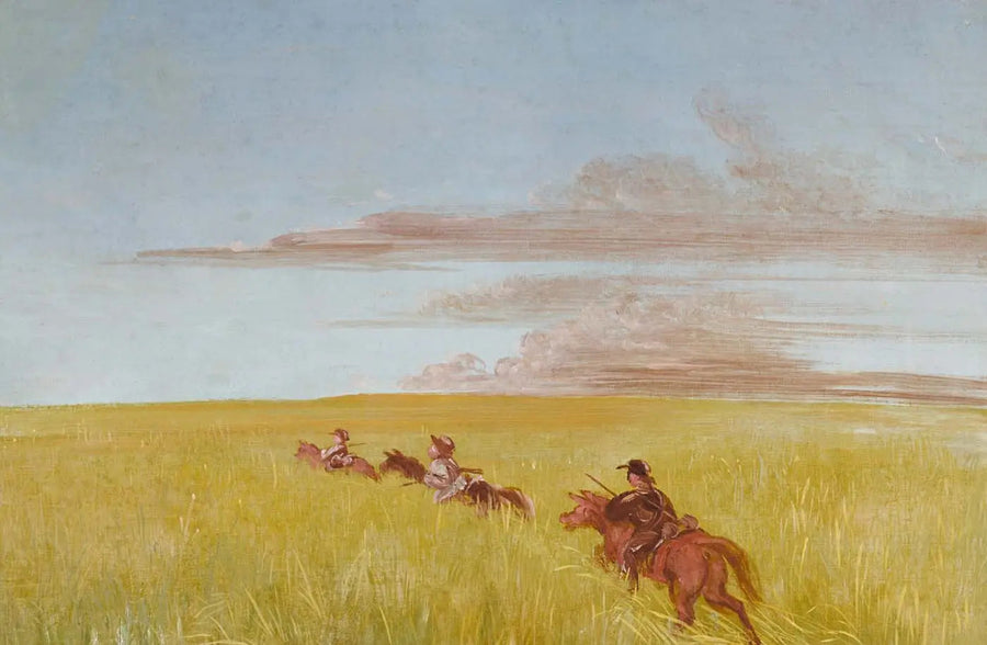 Bogard, Batiste e io, viaggiando attraverso un Missouri Bottom - George Catlin