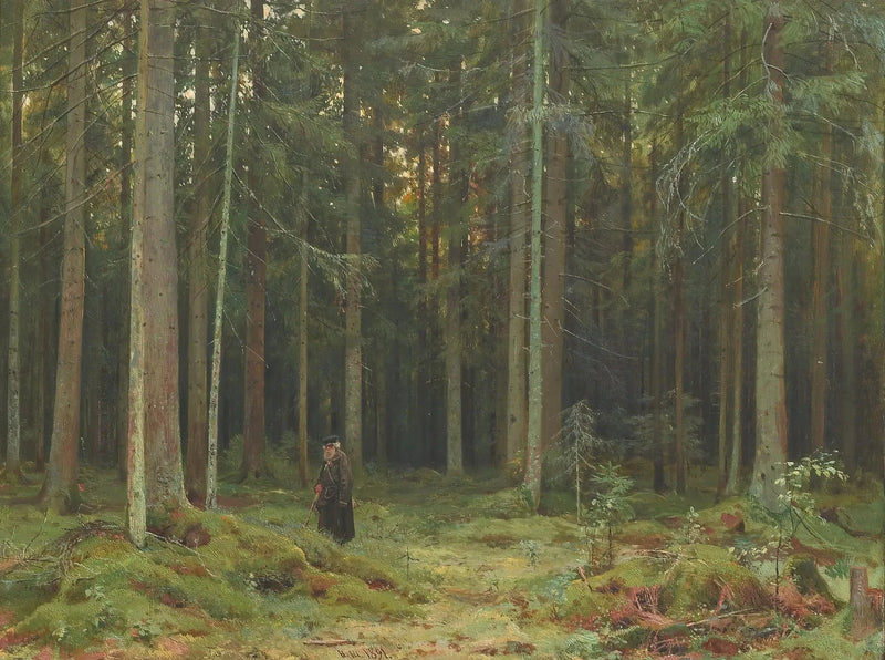 Bois de la contessa Mordvinova. Peterhof - Ivan Chichkine