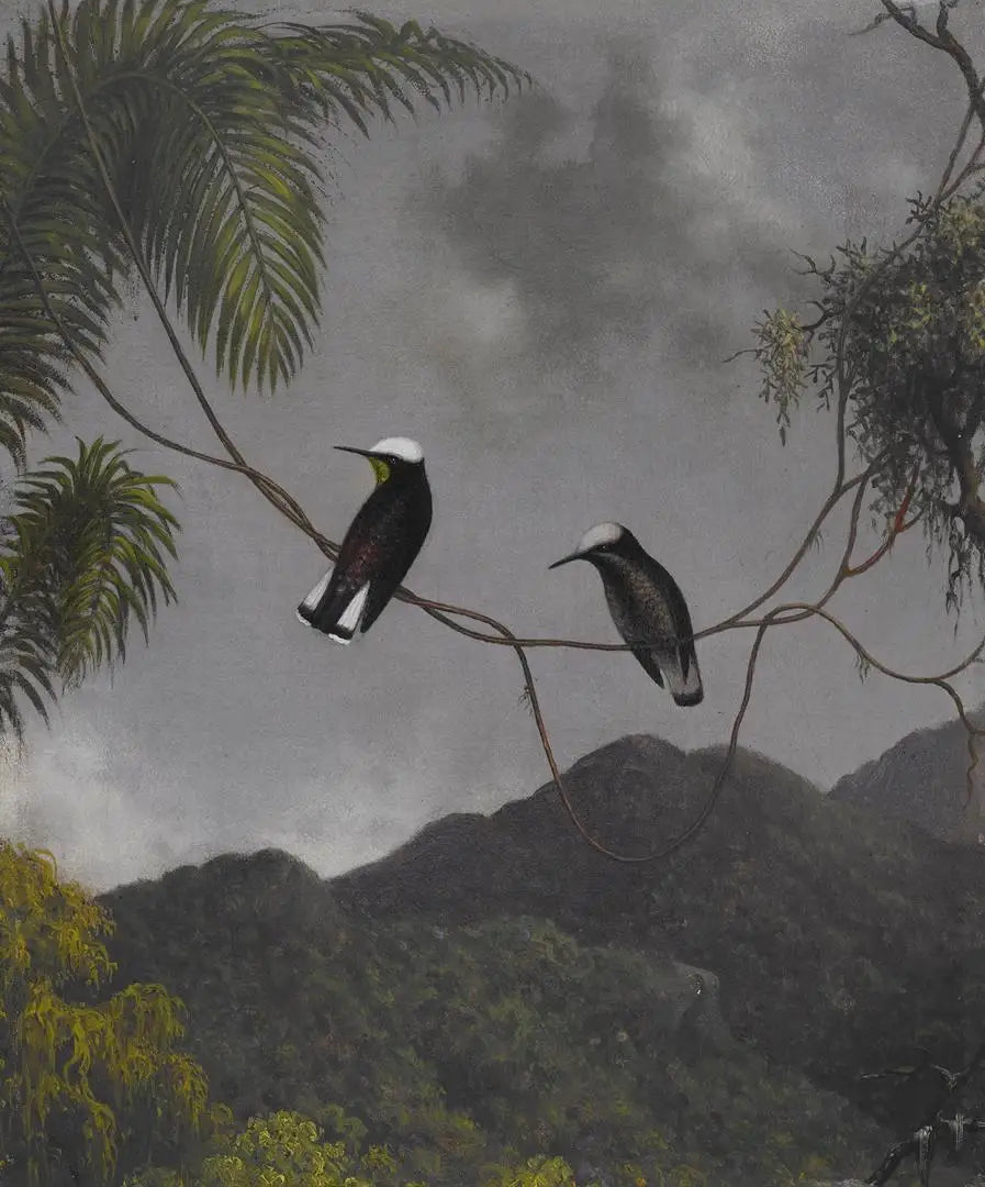 Cappello di neve - Martin Johnson Heade