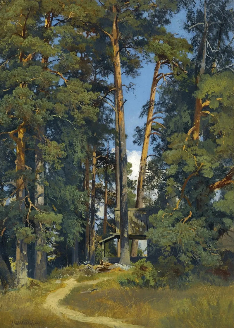Bosquet boscoso - Ivan Chichkine