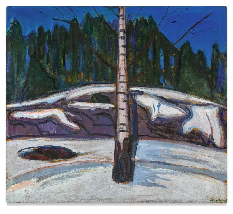 Betulla nella neve - Edvard Munch