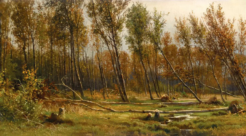 Pioppi dopo la tempesta - Ivan Chichkine