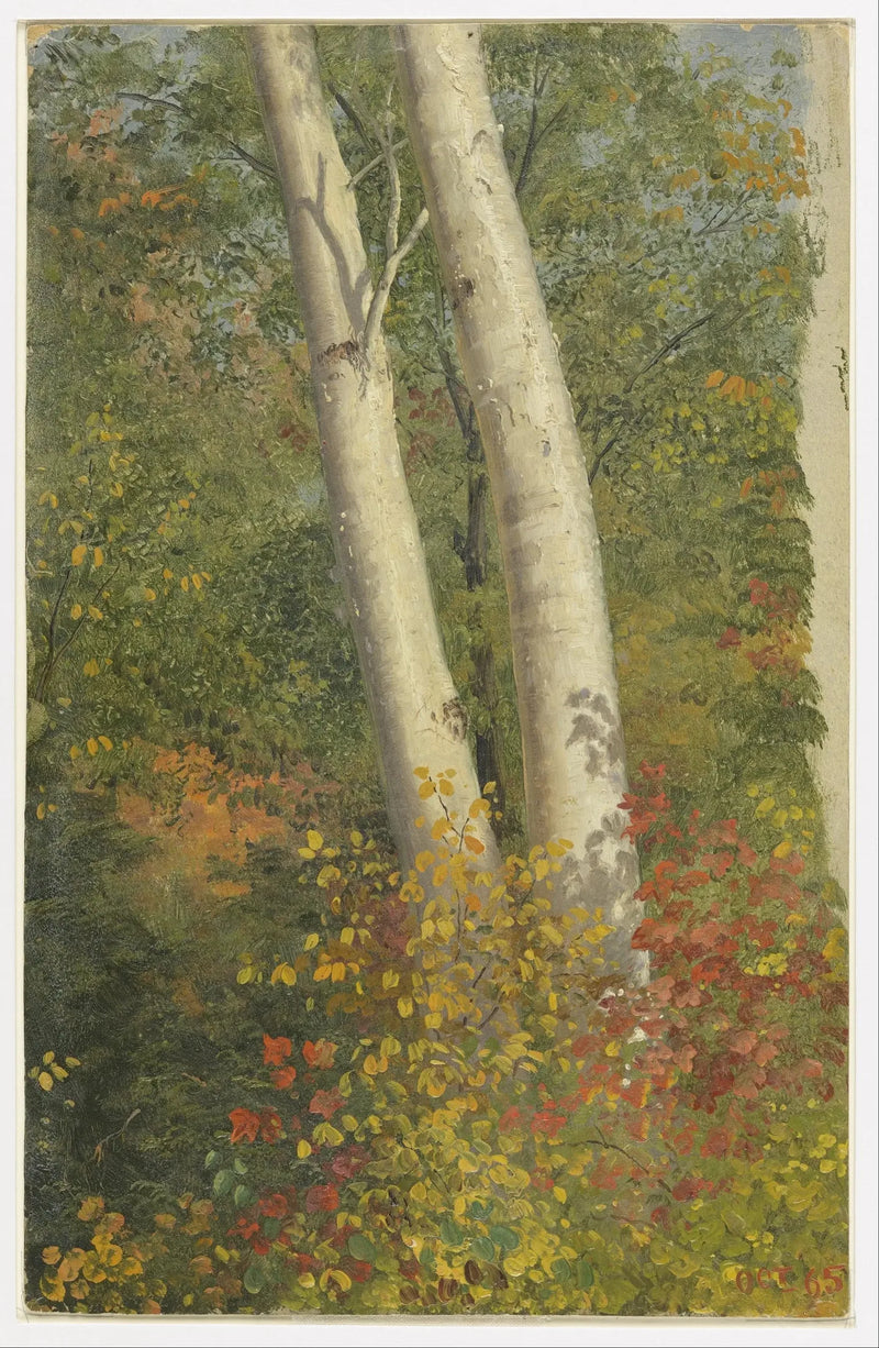 Pioppi in autunno - Frederic Edwin Church