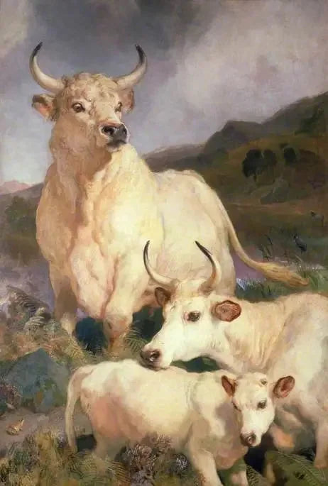 Bovini selvaggi di Chillingham, Northumberland - Edwin Henry Landseer