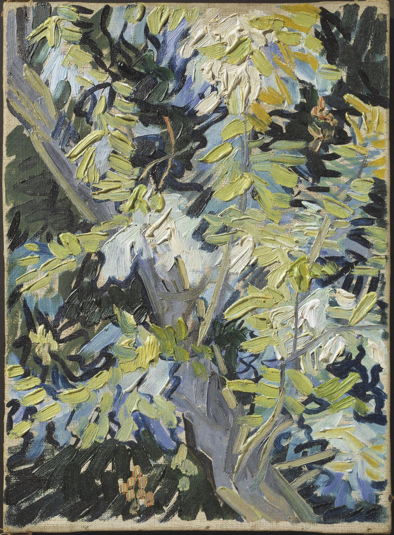Rami di acacia in fiore - Vincent van Gogh