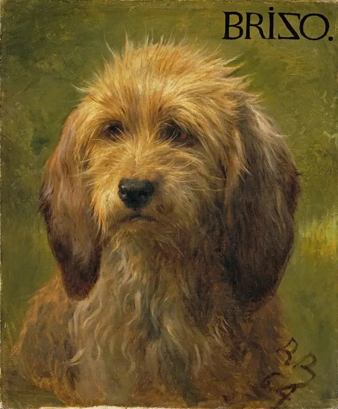 Brizo il cane - Rosa Bonheur