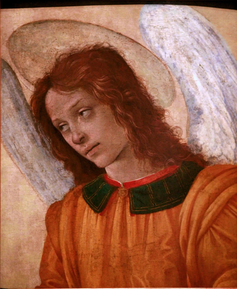Busto d'angelo - Filippino Lippi