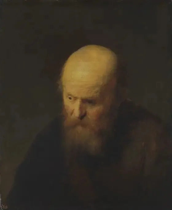 Busto di un vecchio con la testa calva - Rembrandt