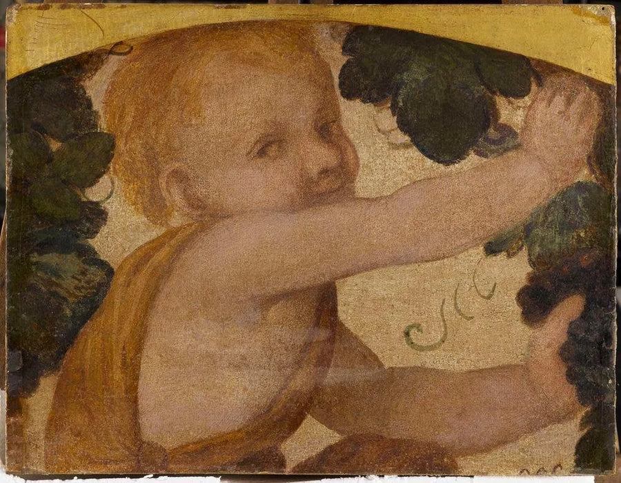 Busto di putto nelle pampini - Bernardino Luini