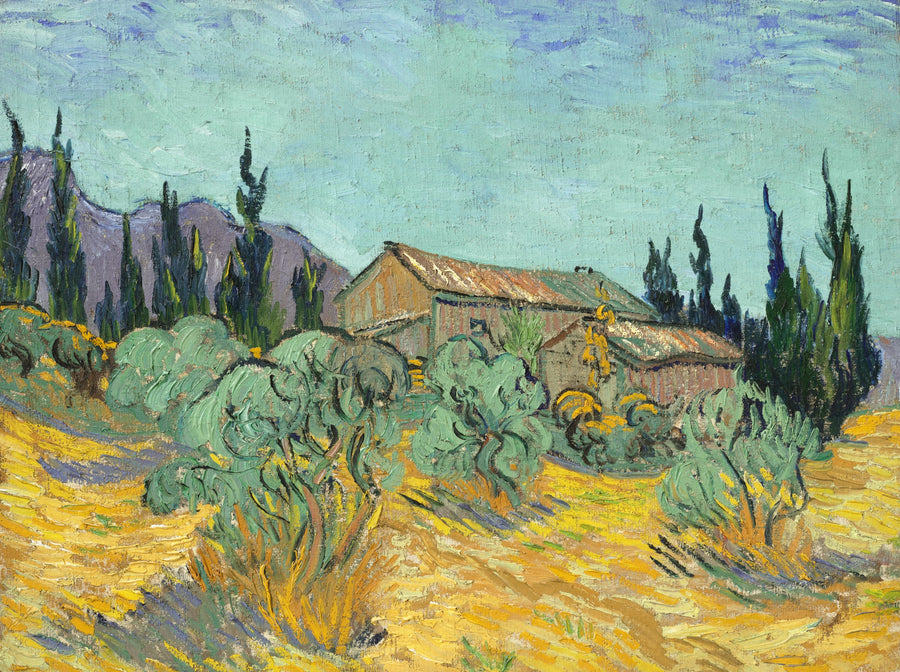 Capanni di legno tra ulivi e cipressi - Vincent van Gogh