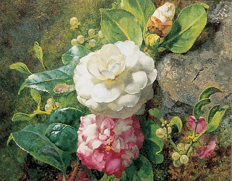 Camélias - Henri Fantin-Latour