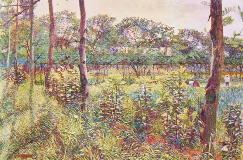 Campagna lombarda - Umberto Boccioni