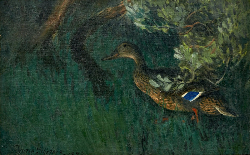 Anatra selvatica nel verde - Bruno Liljefors