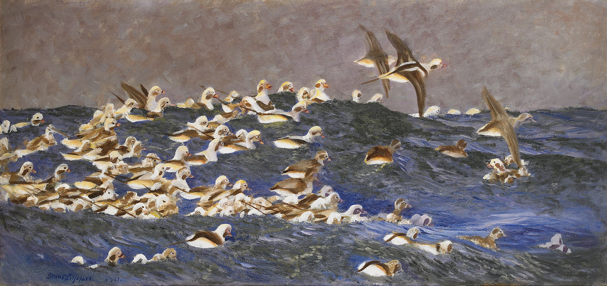 Canards à longue queue dans l'archipel extérieur - Bruno Liljefors image 1 copie de tableau peinte à la main