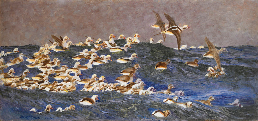 Morette codone nell'arcipelago esterno - Bruno Liljefors