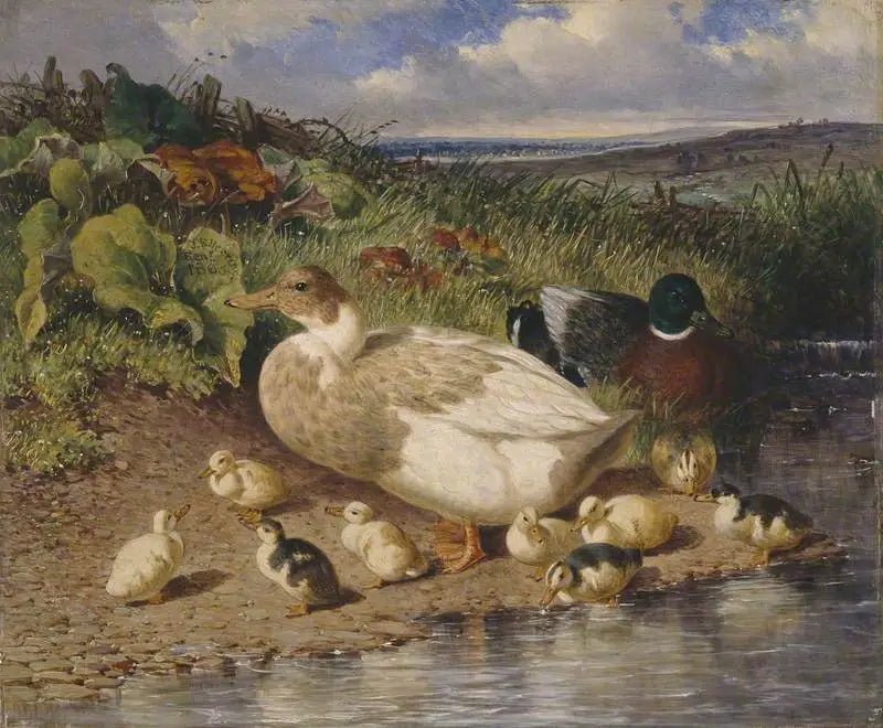 Anatre sul bordo di un ruscello - John Frederick Herring, Sr.