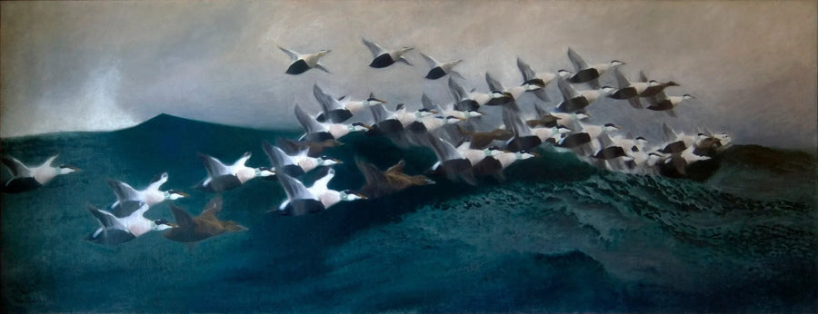 Edredoni che volano in formazione - Bruno Liljefors