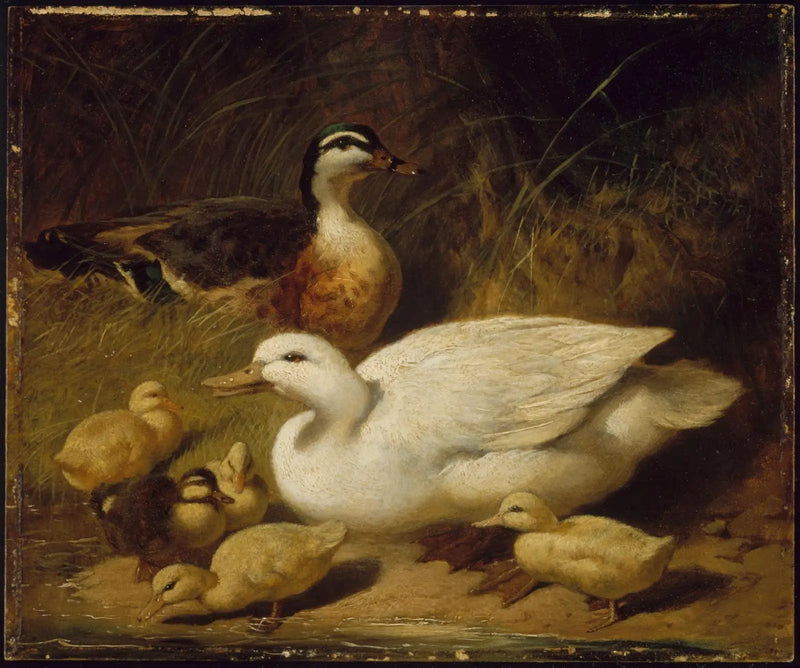 Anatre e paperelle - John Frederick Herring, Sr.