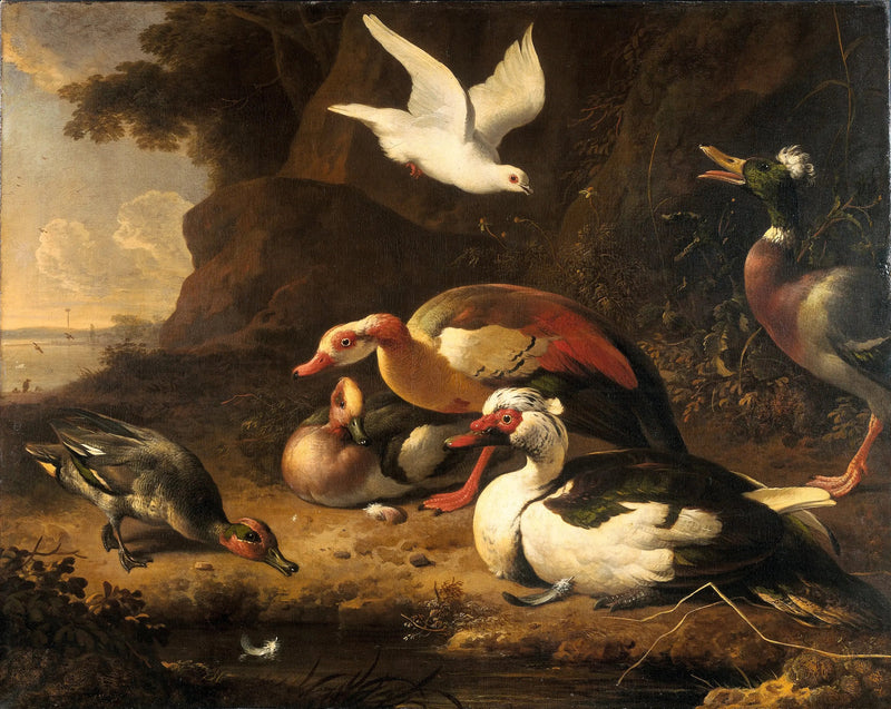 Anatre - Melchior de Hondecoeter