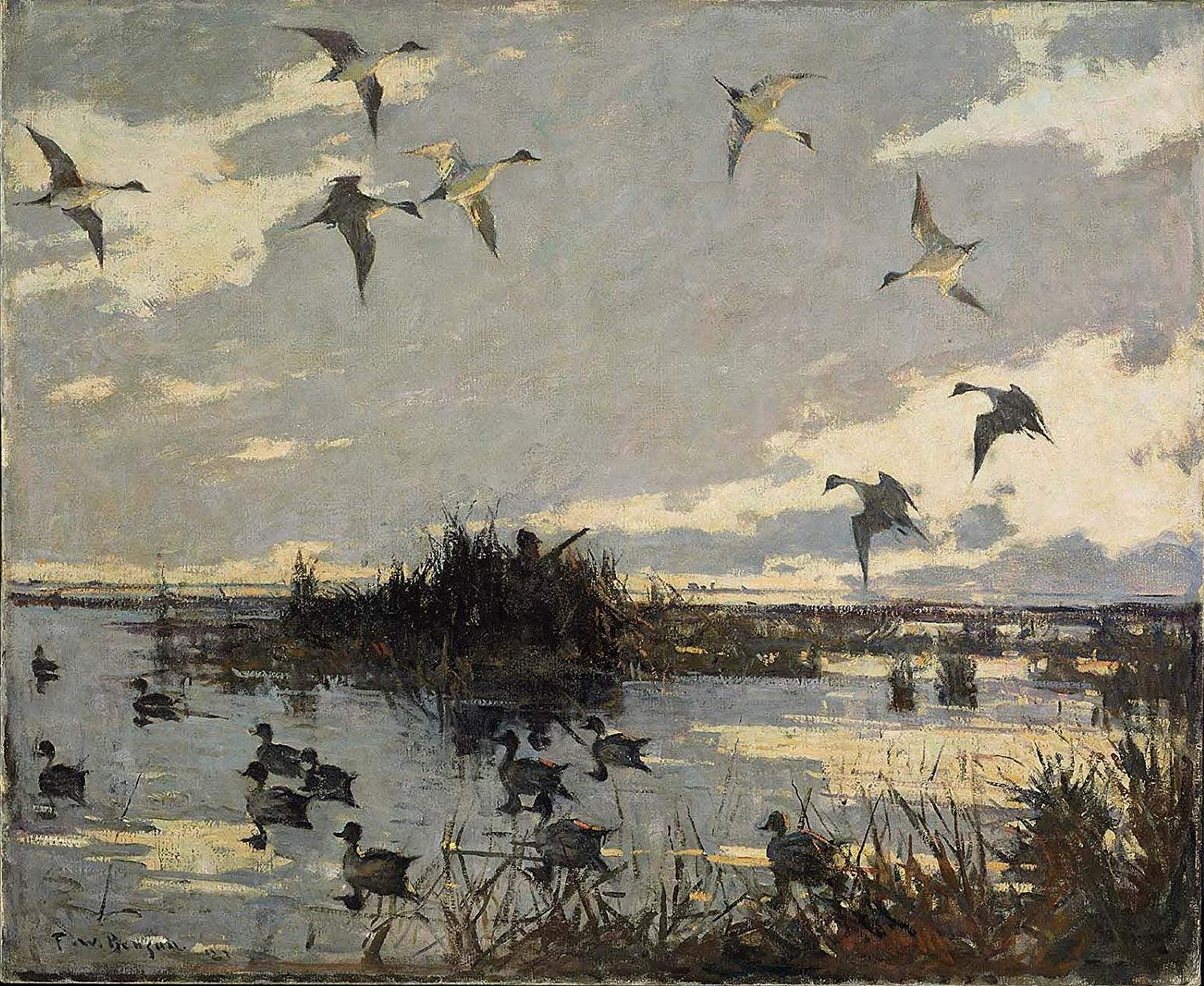 Canards pilets leurrés - Frank Weston Benson - Alpha Reproduction